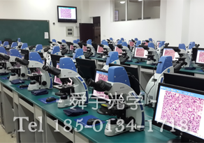 網絡版數碼顯微互動實驗室