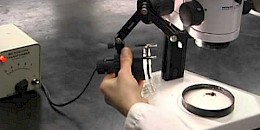 體視顯微鏡的工作原理和常用技術參數