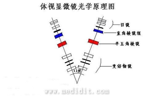 體視顯微鏡光學原理圖