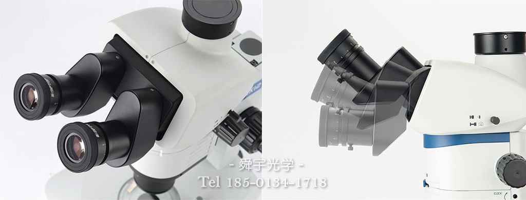 仰角可調觀察筒 仰角可調觀察筒