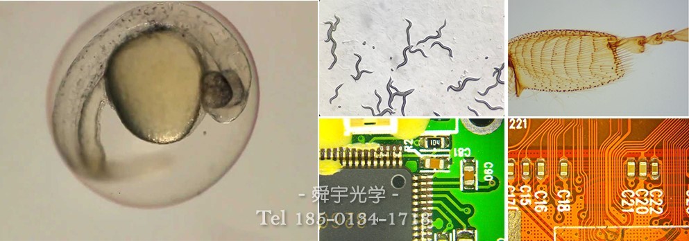 廣泛應用領域 廣泛應用領域