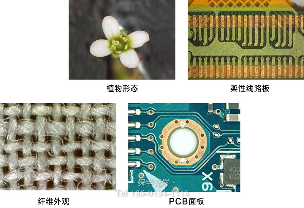 廣泛應用領域 廣泛應用領域
