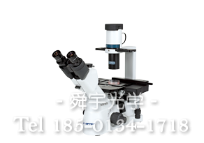 XD倒置生物顯微鏡