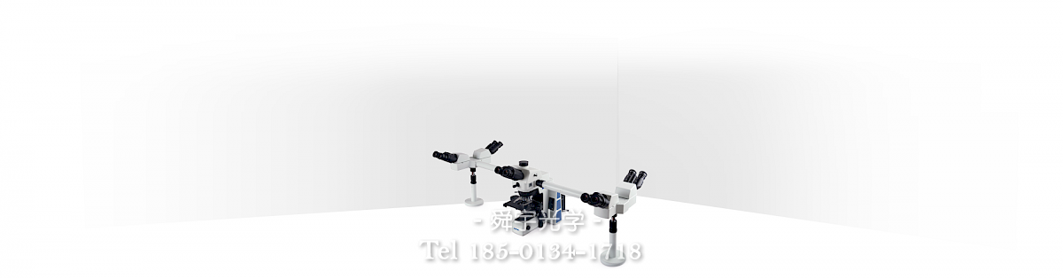 RX50DO3/RX50DO5多人共覽生物顯微鏡