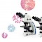 SOPTOP EX31系列生物顯微鏡