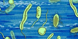 大氧化事件：麻省理工學院科學家對科學大謎團之一的新假設