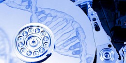 研究人員提出了一種將信息記錄到 DNA 中的新方法