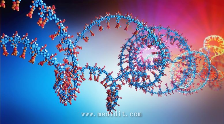 RNA 鏈 3d 插圖