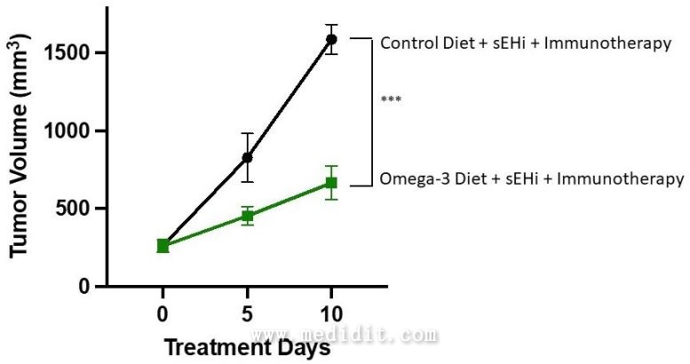 Omega-3 膀胱腫瘤
