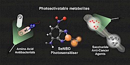 研究發現：光敏藥物可作為特洛伊木馬殺死癌細胞