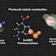 研究發現：光敏藥物可作為特洛伊木馬殺死癌細胞